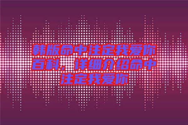 韓版命中注定我愛你百科，詳細介紹命中注定我愛你