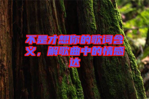 不是才想你的歌詞含義,解歌曲中的情感達