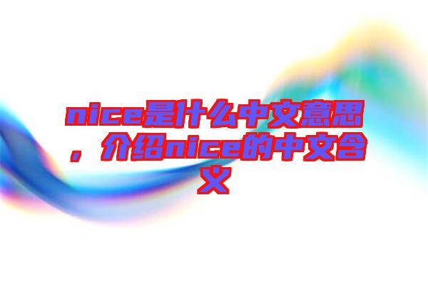 nice是什么中文意思，介紹nice的中文含義