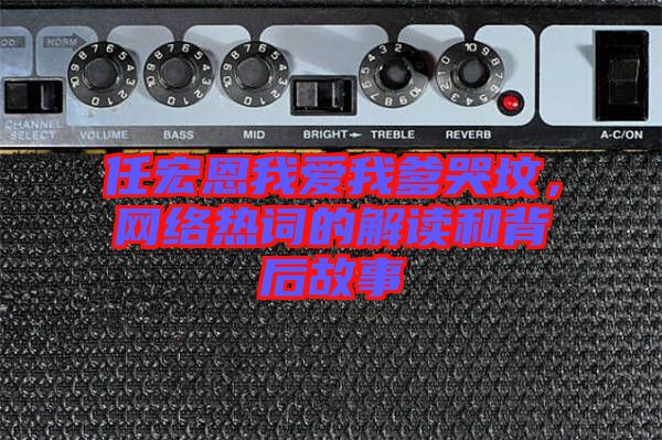 任宏恩我愛我爹哭墳，網絡熱詞的解讀和背后故事