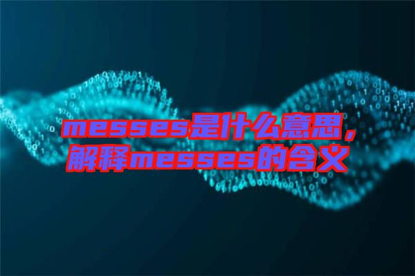 messes是什么意思，解釋messes的含義