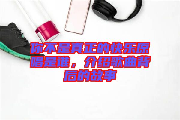 你不是真正的快樂原唱是誰，介紹歌曲背后的故事