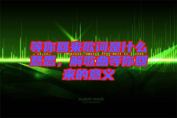 等你回來歌詞是什么意思，解歌曲等你回來的意義