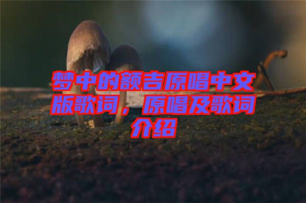 夢(mèng)中的額吉原唱中文版歌詞,原唱及歌詞介紹