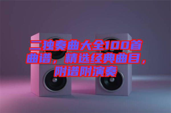 二獨奏曲大全100首曲譜,精選經(jīng)典曲目,附譜附演奏