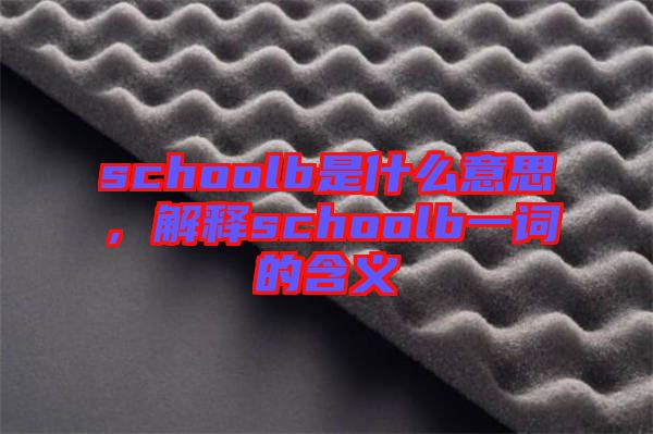 schoolb是什么意思，解釋schoolb一詞的含義