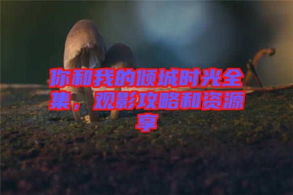 你和我的傾城時光全集,觀影攻略和資源享