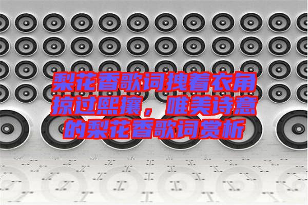 梨花香歌詞拽著衣角掠過熙攘，唯美詩(shī)意的梨花香歌詞賞析