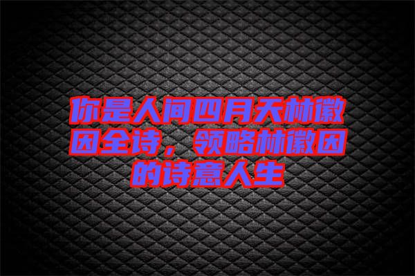 你是人間四月天林徽因全詩，領略林徽因的詩意人生