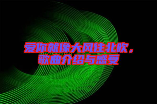 愛(ài)你就像大風(fēng)往北吹,歌曲介紹與感受
