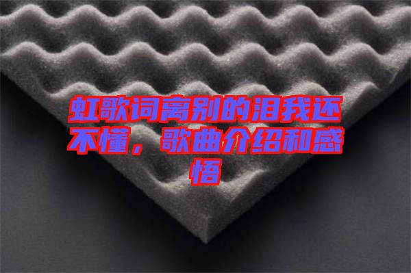 虹歌詞離別的淚我還不懂,歌曲介紹和感悟