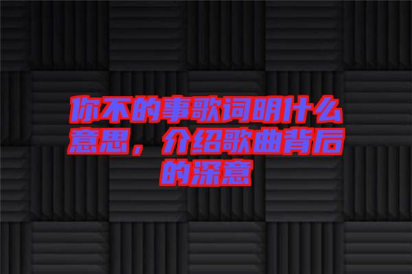你不的事歌詞明什么意思，介紹歌曲背后的深意