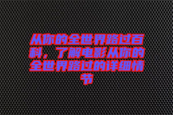 從你的全世界路過百科,了解電影從你的全世界路過的詳細情節(jié)