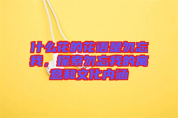 什么花的花語是勿忘我，探索勿忘我的寓意和文化內涵