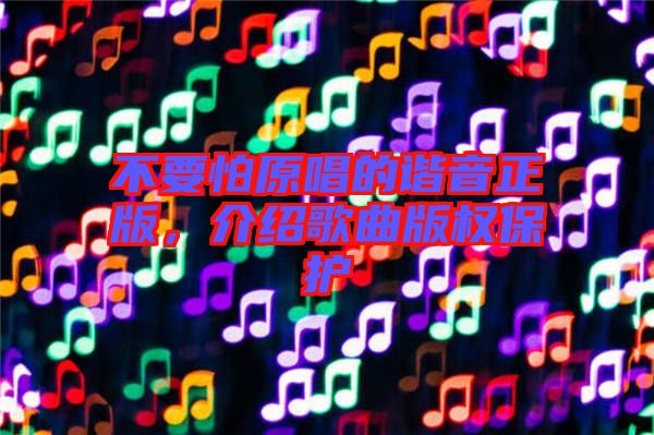 不要怕原唱的諧音正版,介紹歌曲版權保護