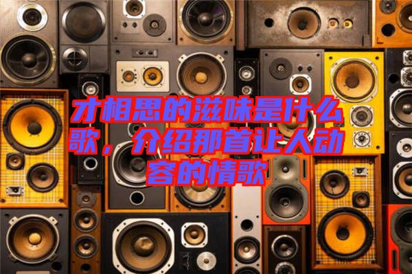 才相思的滋味是什么歌,介紹那首讓人動容的情歌