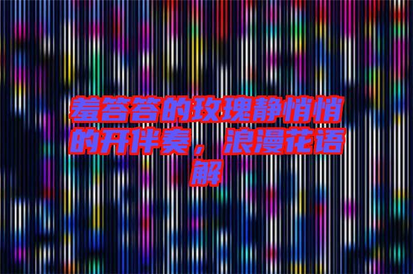 羞答答的玫瑰靜悄悄的開(kāi)伴奏,浪漫花語(yǔ)解