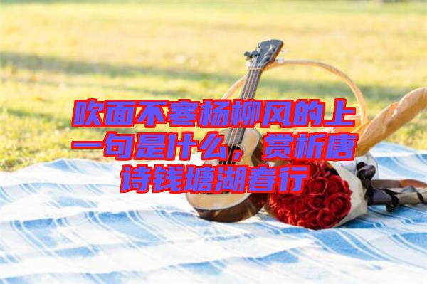 吹面不寒楊柳風(fēng)的上一句是什么,賞析唐詩(shī)錢(qián)塘湖春行