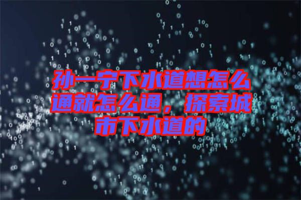 孫一寧下水道想怎么通就怎么通,探索城市下水道的