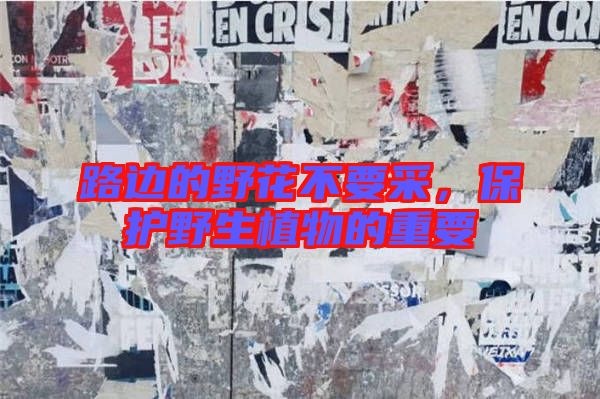 路邊的野花不要采,保護(hù)野生植物的重要