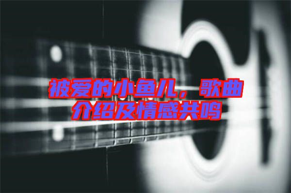 被愛的小魚兒,歌曲介紹及情感共鳴
