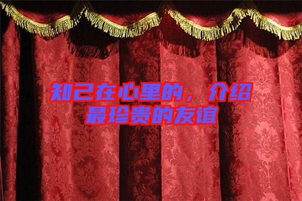 知己在心里的，介紹最珍貴的友誼