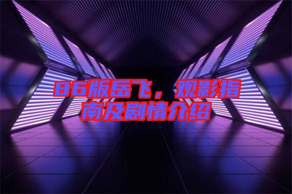 86版岳飛,觀影指南及劇情介紹