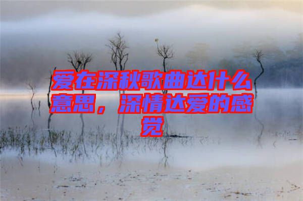 愛在深秋歌曲達(dá)什么意思，深情達(dá)愛的感覺
