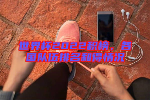 世界杯2022積榜，各國隊伍排名和得情況