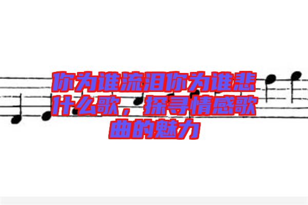 你為誰流淚你為誰悲什么歌,探尋情感歌曲的魅力