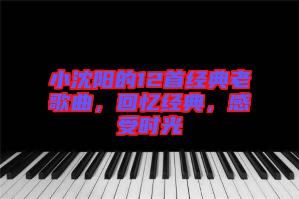 小沈陽的12首經典老歌曲,回憶經典,感受時光