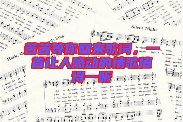 苦苦等你回來歌詞，一首讓人感動的情歌值得一聽