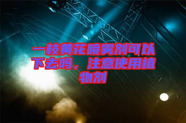 一枝黃花噴霧劑可以下去嗎，注意使用植物劑
