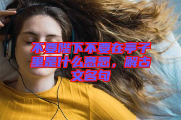 不要陛下不要在亭子里是什么意思,解古文名句