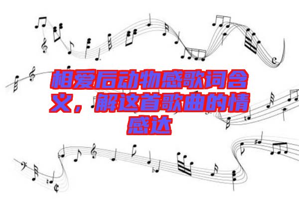 相愛后動物感歌詞含義,解這首歌曲的情感達