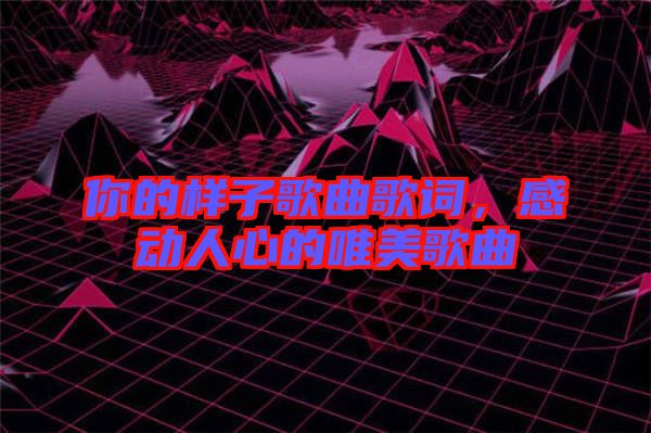 你的樣子歌曲歌詞，感動(dòng)人心的唯美歌曲