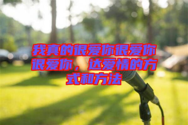 我真的很愛你很愛你很愛你,達愛情的方式和方法