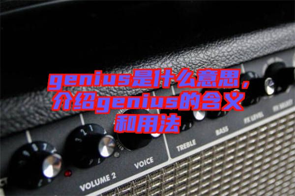 genius是什么意思，介紹genius的含義和用法