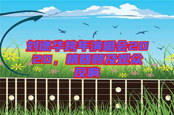 劉德華跨年演唱會(huì)2020，精回顧及觀眾反響