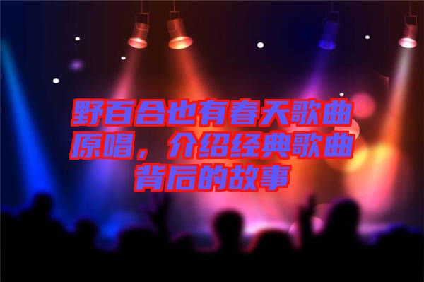 野百合也有春天歌曲原唱，介紹經典歌曲背后的故事