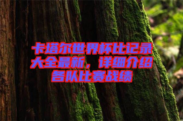卡塔爾世界杯比記錄大全最新,詳細(xì)介紹各隊(duì)比賽戰(zhàn)績(jī)