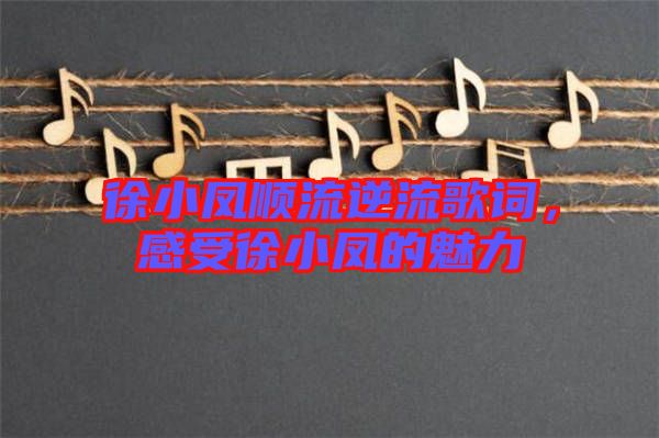 徐小鳳順流逆流歌詞，感受徐小鳳的魅力