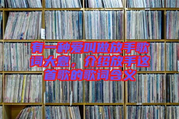 有一種愛叫做放手歌詞大意，介紹放手這首歌的歌詞含義