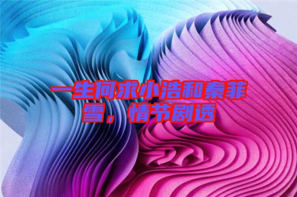 一生何求小浩和秦菲雪,情節劇透