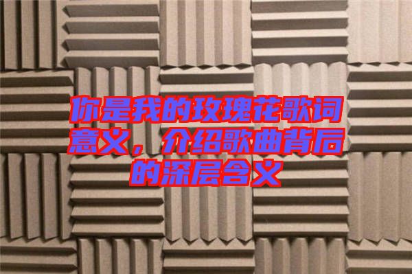 你是我的玫瑰花歌詞意義,介紹歌曲背后的深層含義