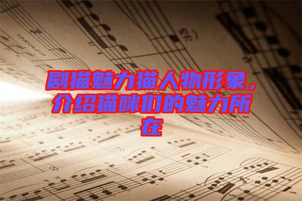 劇貓魅力貓人物形象，介紹貓咪們的魅力所在