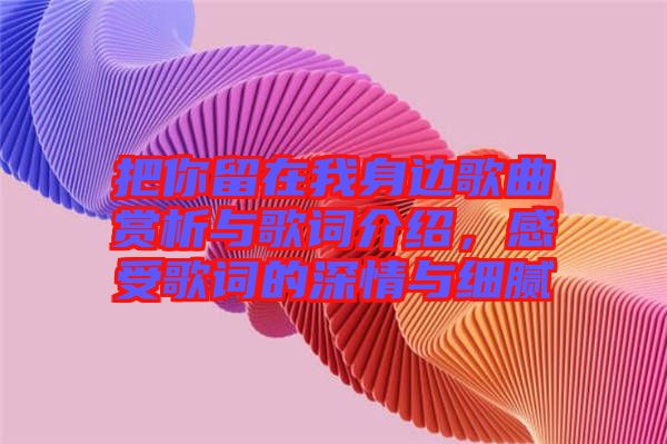 把你留在我身邊歌曲賞析與歌詞介紹,感受歌詞的深情與細(xì)膩