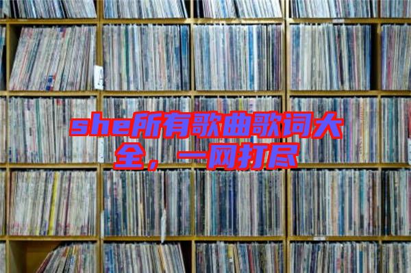 she所有歌曲歌詞大全,一網(wǎng)打盡
