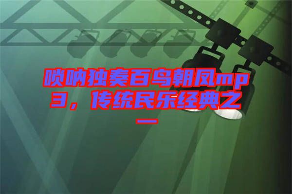 嗩吶獨奏百鳥朝鳳mp3,傳統民樂經典之一