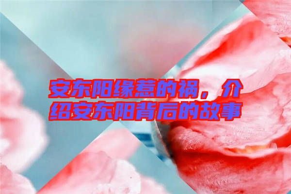 安東陽(yáng)緣惹的禍，介紹安東陽(yáng)背后的故事